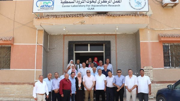 من المعمل إلى المزارع.. خطة جديدة لتطوير الثروة السمكية ودعم الأمن الغذائي