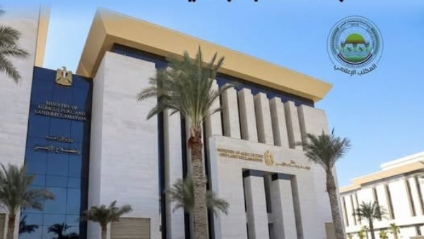الزراعة تكثّف جهود الرعاية التناسلية لأكثر من 38 ألف رأس ماشية خلال يوليو