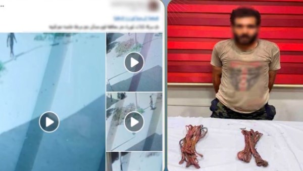 القبض على لص يسرق أسلاك الكهرباء بالفيوم