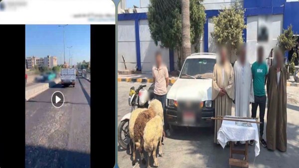 الداخلية تكشف تفاصيل مطاردة قائد دراجة نارية لسيارة ربع نقل بالإسكندرية