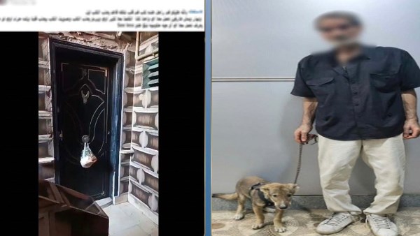القبض على عامل تعدى على كلب بالضرب بالجيزة