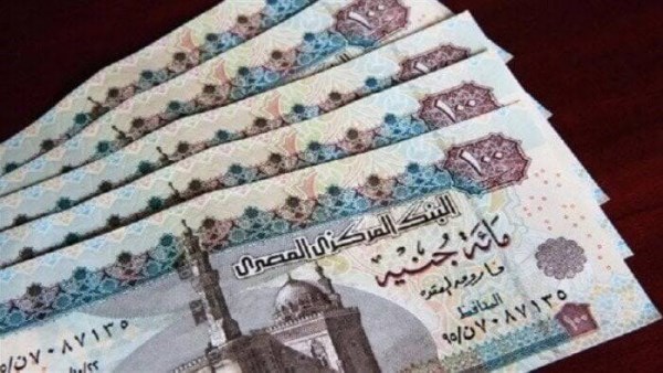 التزوير ورفض العمل من أبرزها .. حالات توقف صرف الدعم النقدي