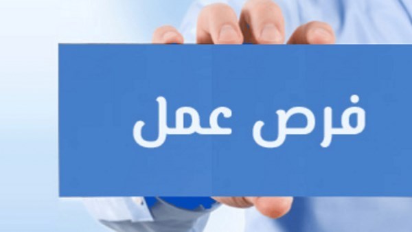منطقة المنوفية الأزهرية تعلن عن 121 فرصة للاستعانة بعاملات رياض الأطفال