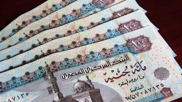 من الورقي إلى الرقمي.. كيف غيّر التحول الرقمي منظومة التأمينات الاجتماعية