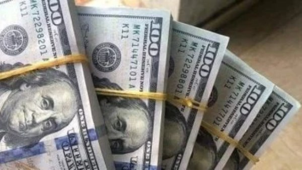 سعر الدولار اليوم في البنوك 12 – 8 – 2026