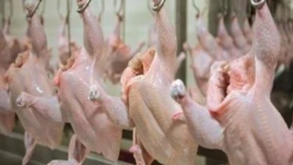 الكيلو يبدأ من 68 جنيه.. أسعار الفراخ والبيض اليوم الإثنين