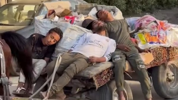 «الحصان عارف الطريق».. فيديو لعمال نائمين أعلى عربة كارو يثير الجدل