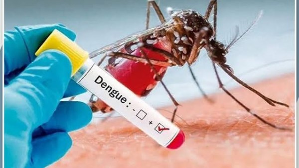 ماليزيا تسجل ارتفاع حاد في حالات الإصابة بحمى الضنك
