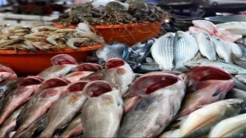 أسعار السمك اليوم، البلطي يسجل 72 جنيها “جملة” والبوري يغري المصريين