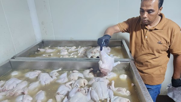 الدقهلية.. ضبط 5 أطنان مصنعات لحوم ودجاج غير صالحة للاستهلاك