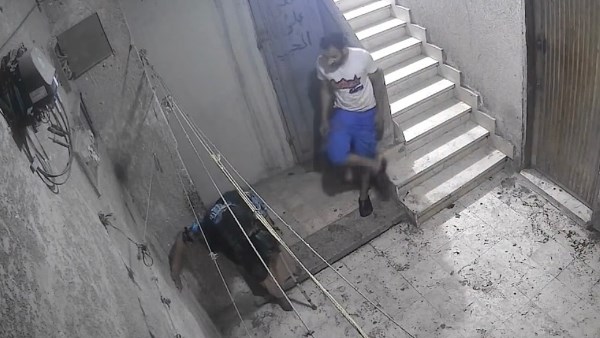 عقوق يهز القلوب.. فيديو يوثق طرد شاب لوالدته المسنة من منزلها بالقاهرة