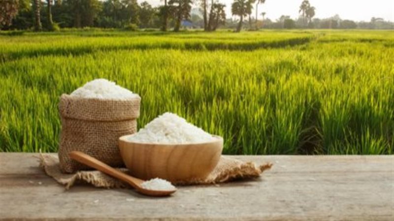 تعرف على سعر الأرز في الأسواق اليوم الثلاثاء