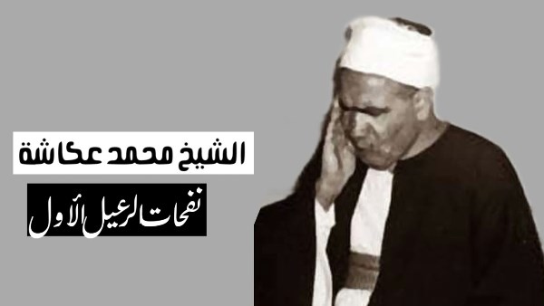 عاش قرنًا في خدمة القرآن.. في ذكرى رحيله: الشيخ محمد عكاشة قارئٌ من الرعيل الأول