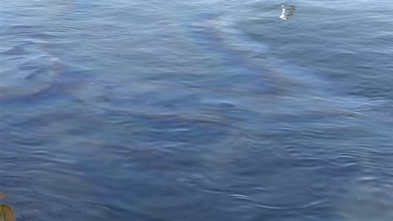 ظهور بقعة زيت بنهر النيل في الأقصر (صور)