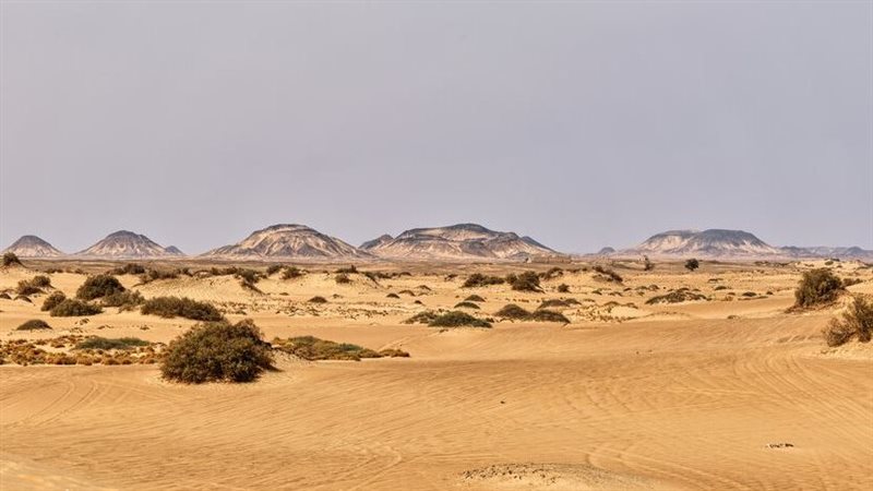 أرض مصر تبوح بسر جديد، اكتشاف بحر مغمور وحفريات لأسماك قرش في الصحراء الغربية