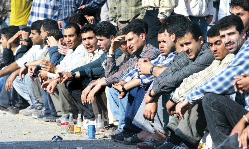 برلماني : تراجع البطالة إلى 5.8% يؤكد نجاح الدولة في تحويل النمو الاقتصادي