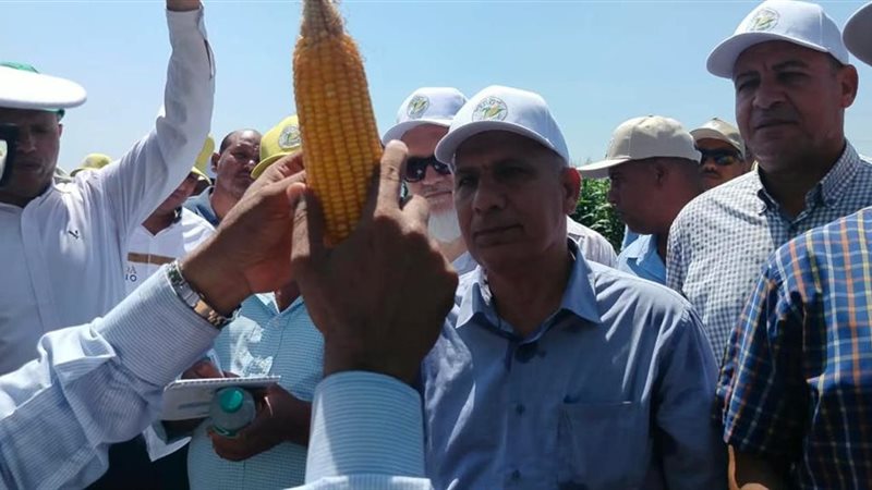 «الزراعة» تطلق يوم الحقل السنوي للذرة والأرز بسخا لتعزيز الأمن الغذائي ورفع الإنتاجية (صور)