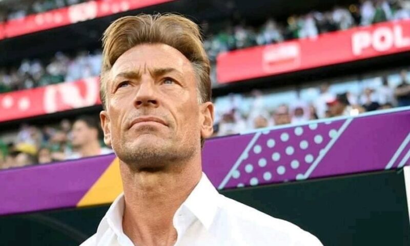 رسميا.. هيرفي رينارد يعود لقيادة كوت ديفوار بعد 11 عامًا من لقب أمم أفريقيا