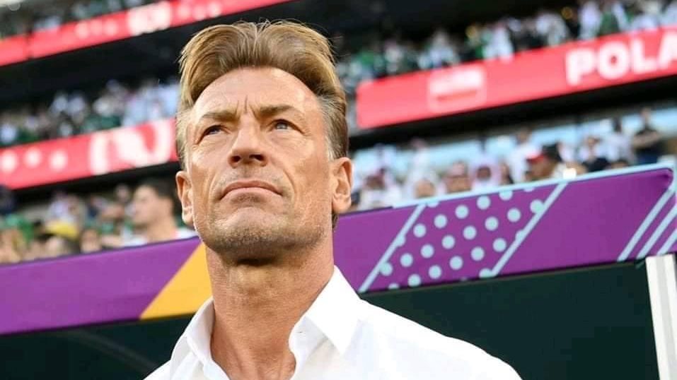 رسميا.. هيرفي رينارد يعود لقيادة كوت ديفوار بعد 11 عامًا من لقب أمم أفريقيا