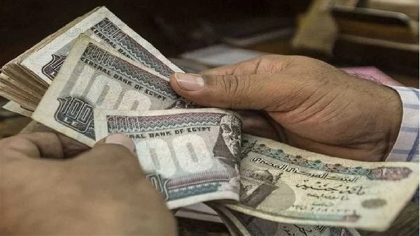 رفض 3 فرص عمل قد يوقف الدعم النقدي.. تعرف على التفاصيل بالقانون