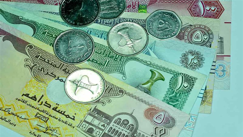 ارتفاع سعر الدرهم الإماراتي مقابل الجنيه في البنوك المصرية