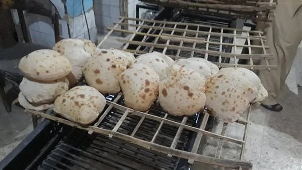 منع الصرف الوهمي وثبات سعر الرغيف.. مزايا منظومة الخبز الجديدة| تفاصيل