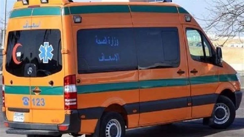مصرع شخصين وإصابة 26 آخرين في حادث لمجموعة من المهاجرين غير الشرعيين بالسلوم