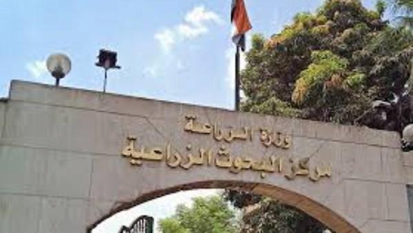 تتحمل ارتفاع درجات الحرارة.. الزراعة: تطوير سلالات جديدة من الأرانب