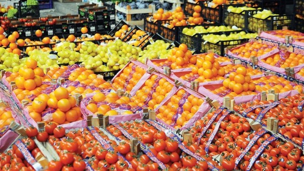 الزراعة تعلن مفاجأة جديدة في الصادرات.. أكثر من 6.2 مليون طن حتى الآن