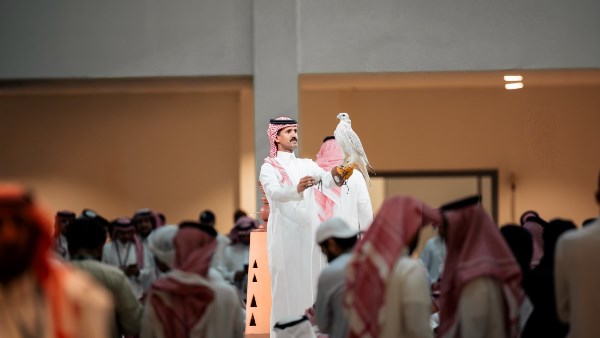 السعودية: المزاد الدولي لـ”الصقور 2026″ يختتم فعالياته بمبيعات تتجاوز 8.8 مليون دولار أمريكي