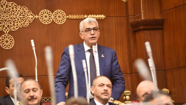 حماة الوطن: القاهرة تعيد رسم خريطة شراكاتها الاستراتيجية وفقًا لمصالحها الوطنية