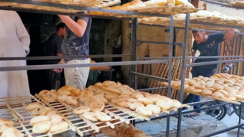 مطالبات بتخفيف أعباء الخصم المباشر، المخابز تشتكي من الأعباء المالية والتشغيلية، و”التموين” تؤكد انتظام المنظومة والتعامل الفوري مع الشكاوى، وصرف الدقيق بنظام الآجل يومي الجمعة والسبت