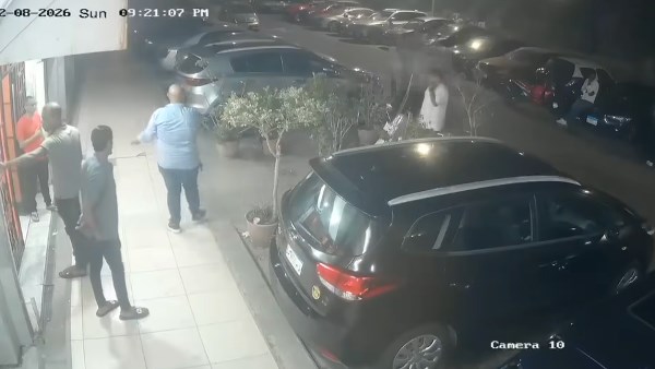 هل كانت بلطجة أم خلافًا عائليًا؟.. القصة الكاملة لأزمة القطتين التي أشعلت مواقع التواصل