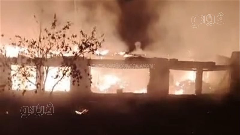 حريق هائل يلتهم مزرعة دواجن بالمحلة في الغربية (فيديو)