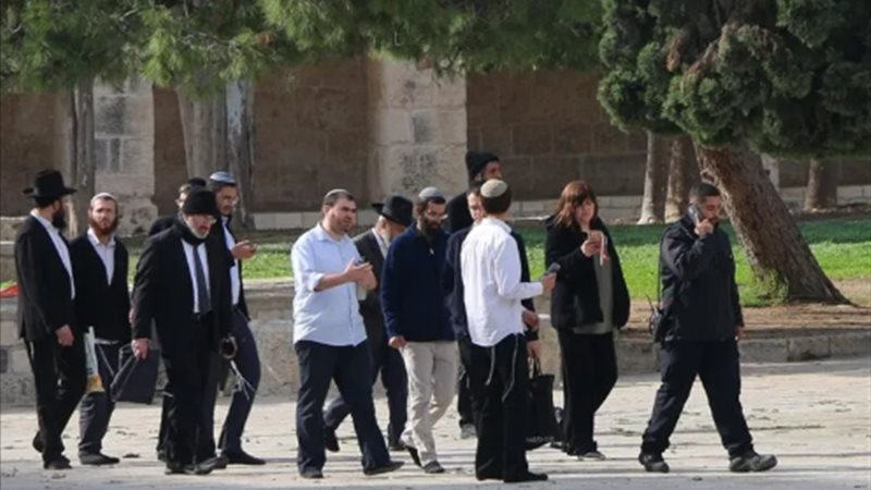 الأمم المتحدة: وثقنا أكثر من 1540 اعتداء للمستوطنين بالأراضي الفلسطينية منذ بداية 2026