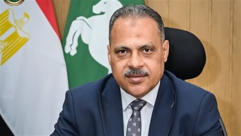 شبكات المرافق بالشرقية تستخرج 2313 شهادة استبيان تراخيص