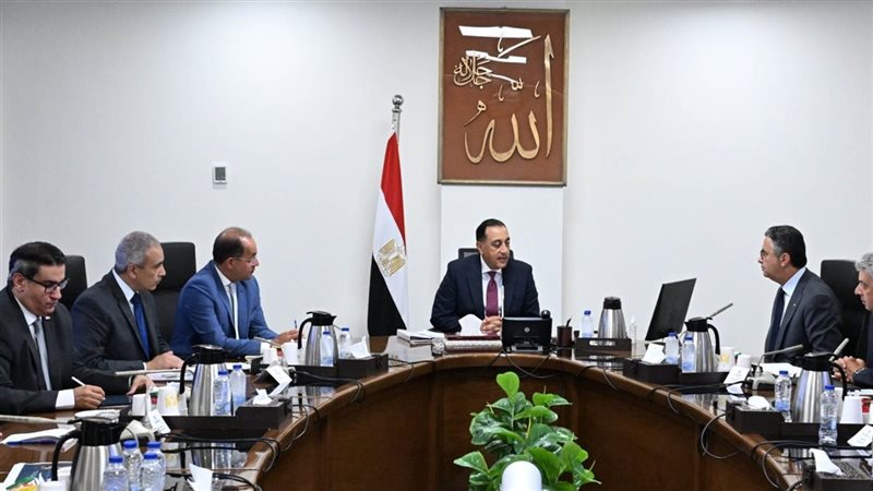 الزيت والسكر والمكرونة لن تكون وحدها.. توسيع قائمة سلع الدعم لتشمل اللحوم والبيض والدواجن