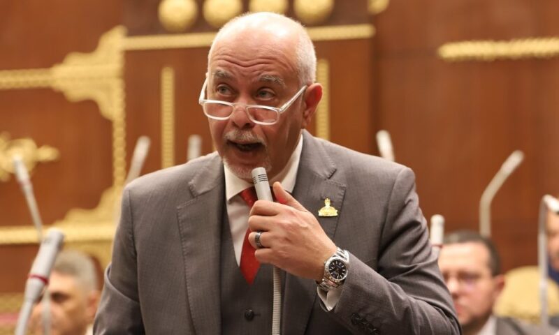 برلماني: الشراكة مع البريكس تعزز دعم الاقتصاد المصري وتنمية المشروعات الصغيرة