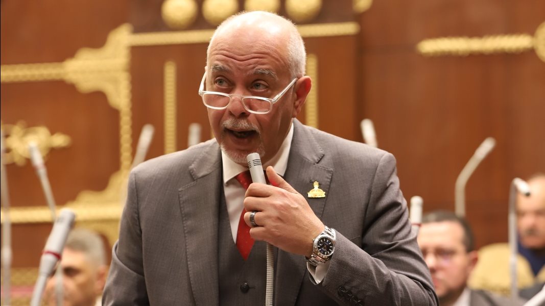 برلماني: الشراكة مع البريكس تعزز دعم الاقتصاد المصري وتنمية المشروعات الصغيرة