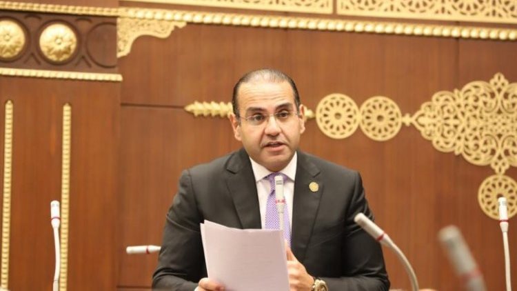 برلماني: سد جوليوس نيريري ترجمة حقيقية لقوة مصر الناعمة.. والشركات الوطنية تكتب فصلًا جديدًا في الحضور بأفريقيا