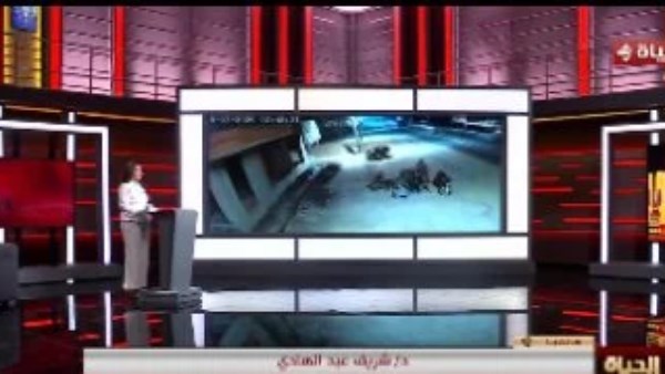 رئيس قسم الزلازل: ابتعاد مركز الهزة الأرضية عن القاهرة حال دون وقوع خسائر