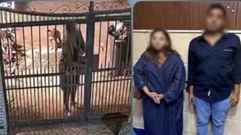موظفة تثير غضب المواطنين بالمقطم