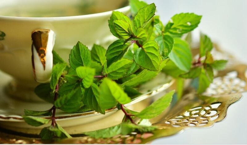 هل شرب النعناع ليلا يساعد على تحسين النوم؟.. اعرف الحقيقة