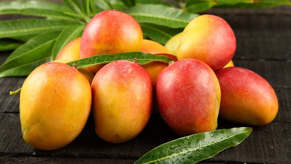 قبل ما تشتري مانجا.. ما الفرق بين العويس والزبدة والفص والنعومي؟