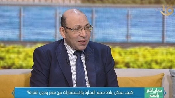 خبير: التنمية وتطوير القدرات أبرز ملامح التحرك المصري في إفريقيا