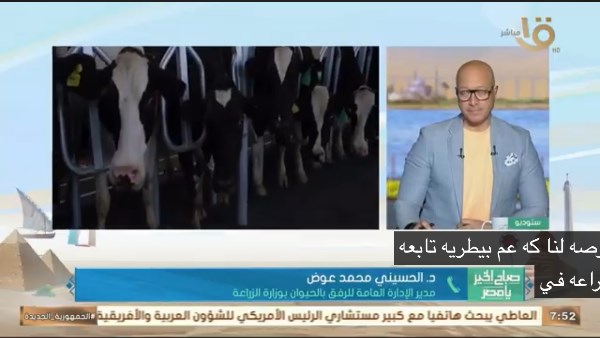 الزراعة تطلق الحملة القومية لتحصين الماشية.. خبير يوضح الأهداف