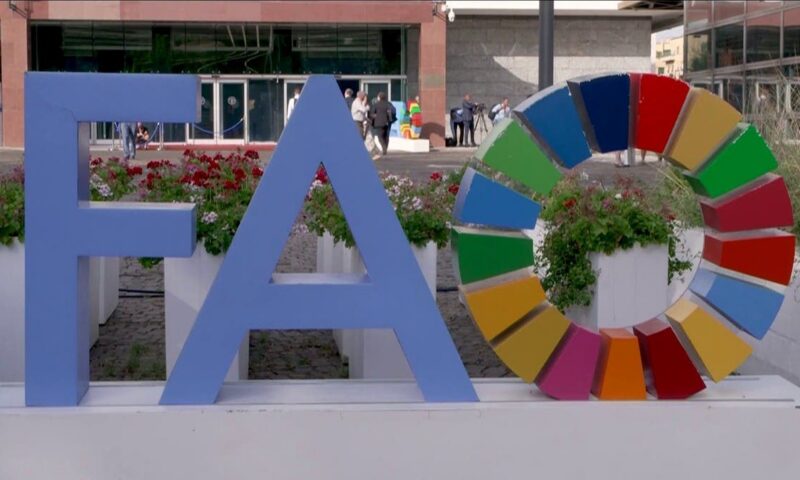 “الفاو” تحذر: العالم على أعتاب موجة جديدة من ارتفاع أسعار الغذاء