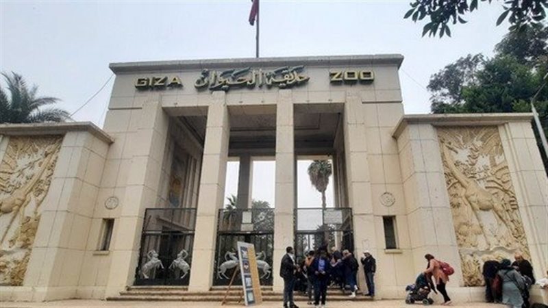 بها فيلة وحيوانات نادرة، آخر تطورات إعادة افتتاح حديقة الحيوان بالجيزة