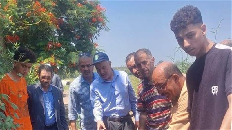 زراعة الشرقية تنفذ يوما حقليا لمحصول الأرز بالإبراهيمية