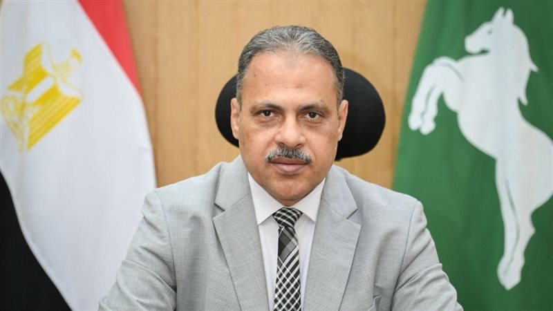 محافظ الشرقية يُصدر حركة تنقلات محدودة للعاملين بالديوان العام
